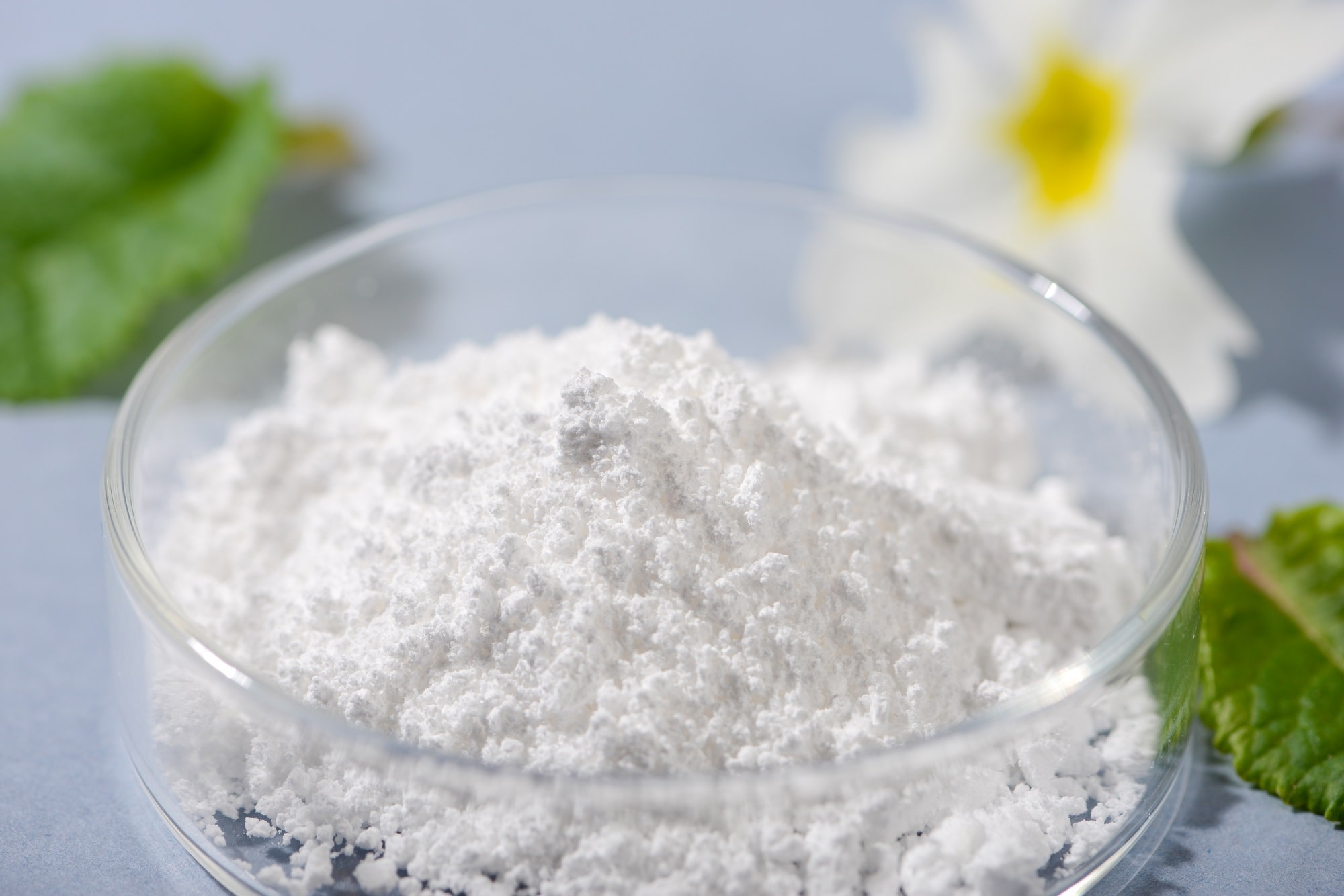 Allantoin powder, frequent ingredient in lotions and skin creams.