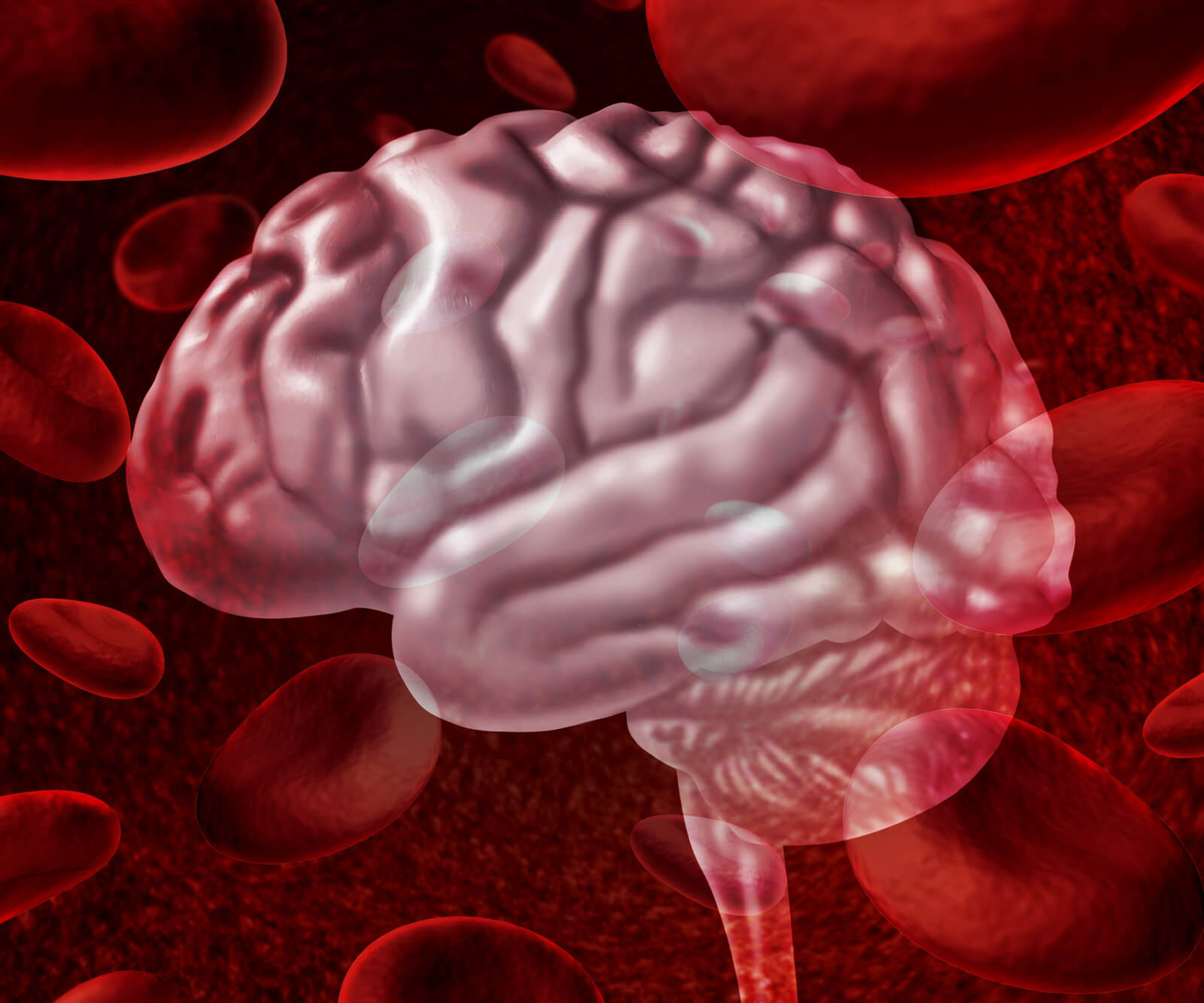 Concept art of Brain Blood Flow