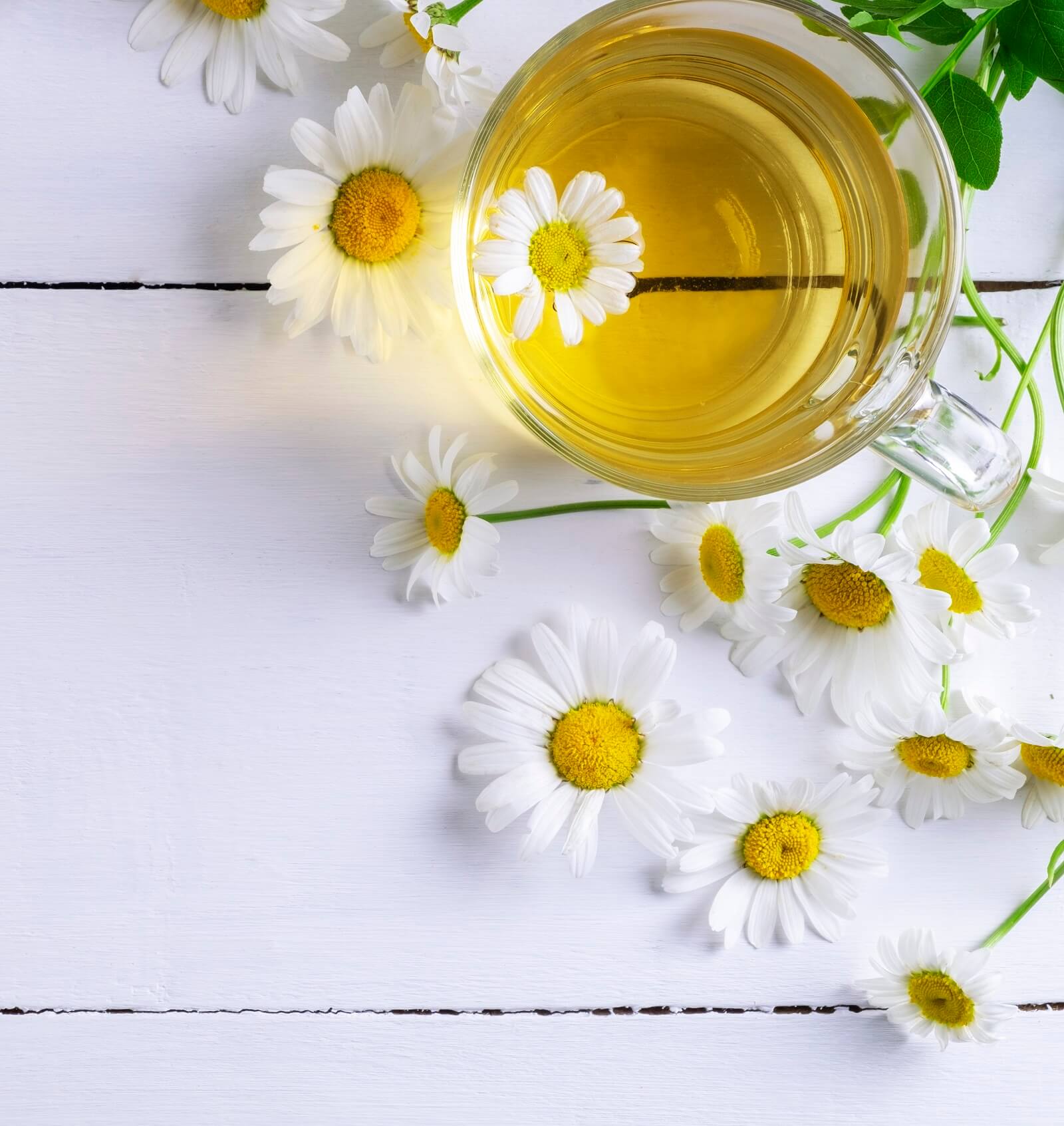 Top view of a cup of chamomile tea. Close-up top view of a cup of chamomile tea and flowers. Alternative and traditional medicine.