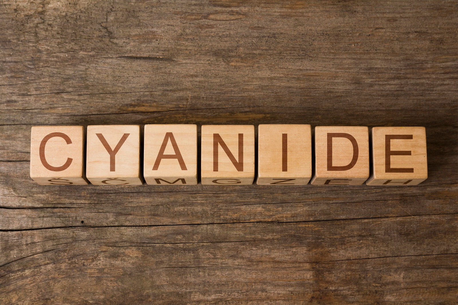 The word of CYANIDE on wooden cubes — Photo