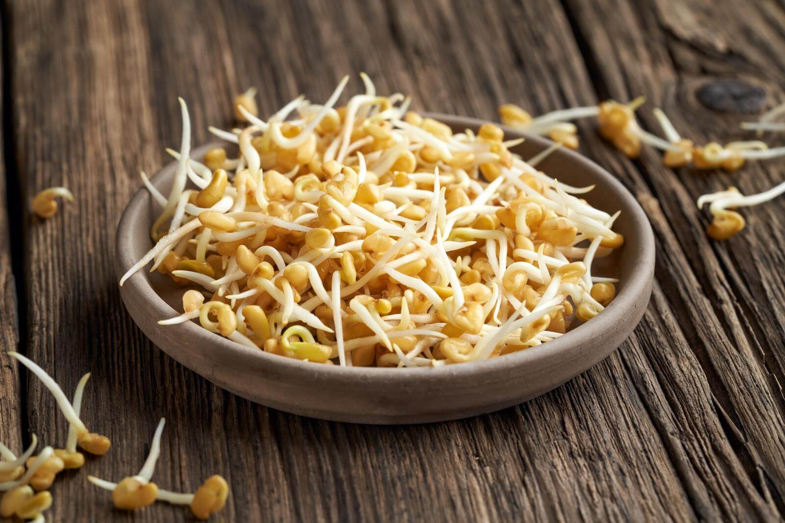 Fenugreek sprouts in a plate on a wooden table.