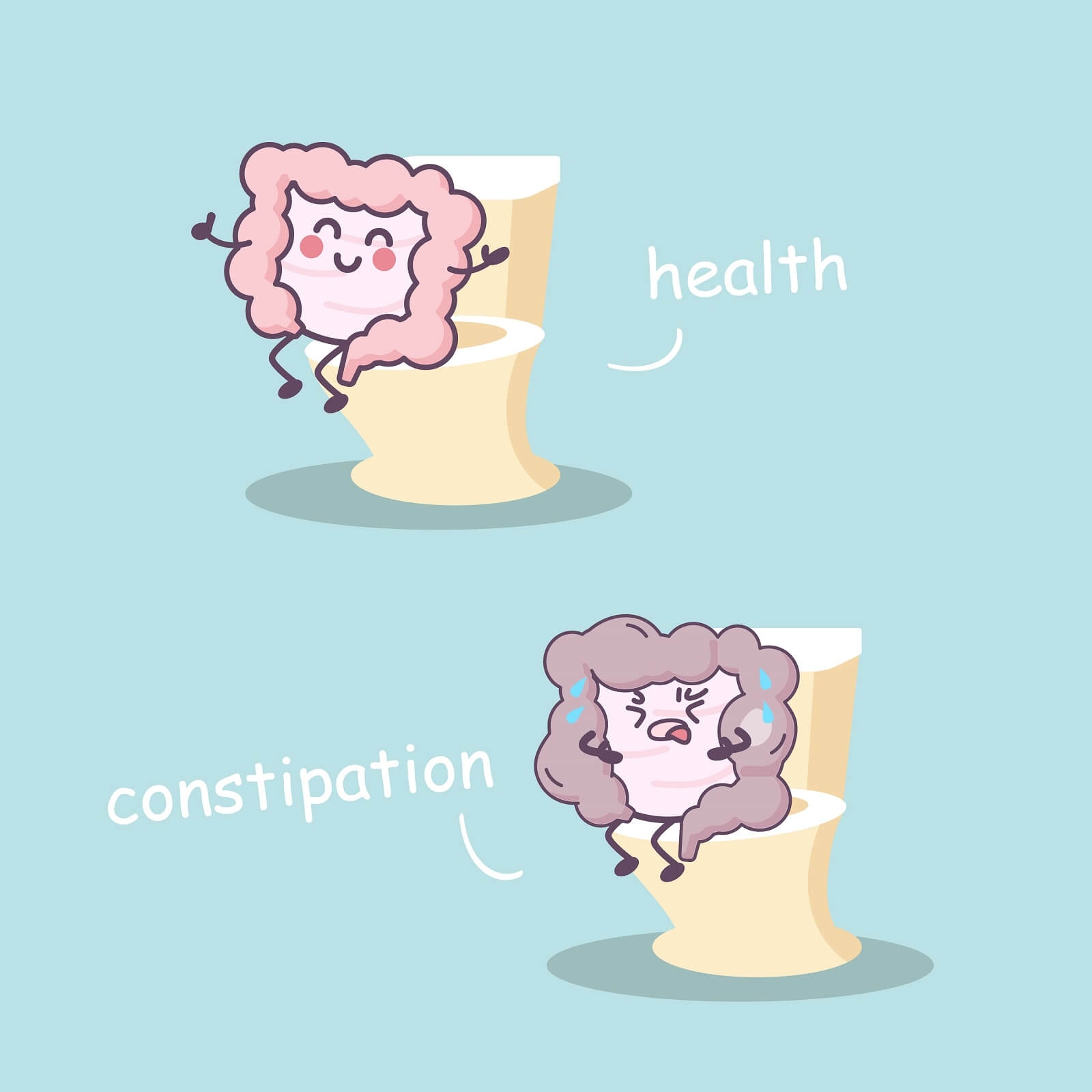 Cartoon of healthy intestine versus a constipated intestine.