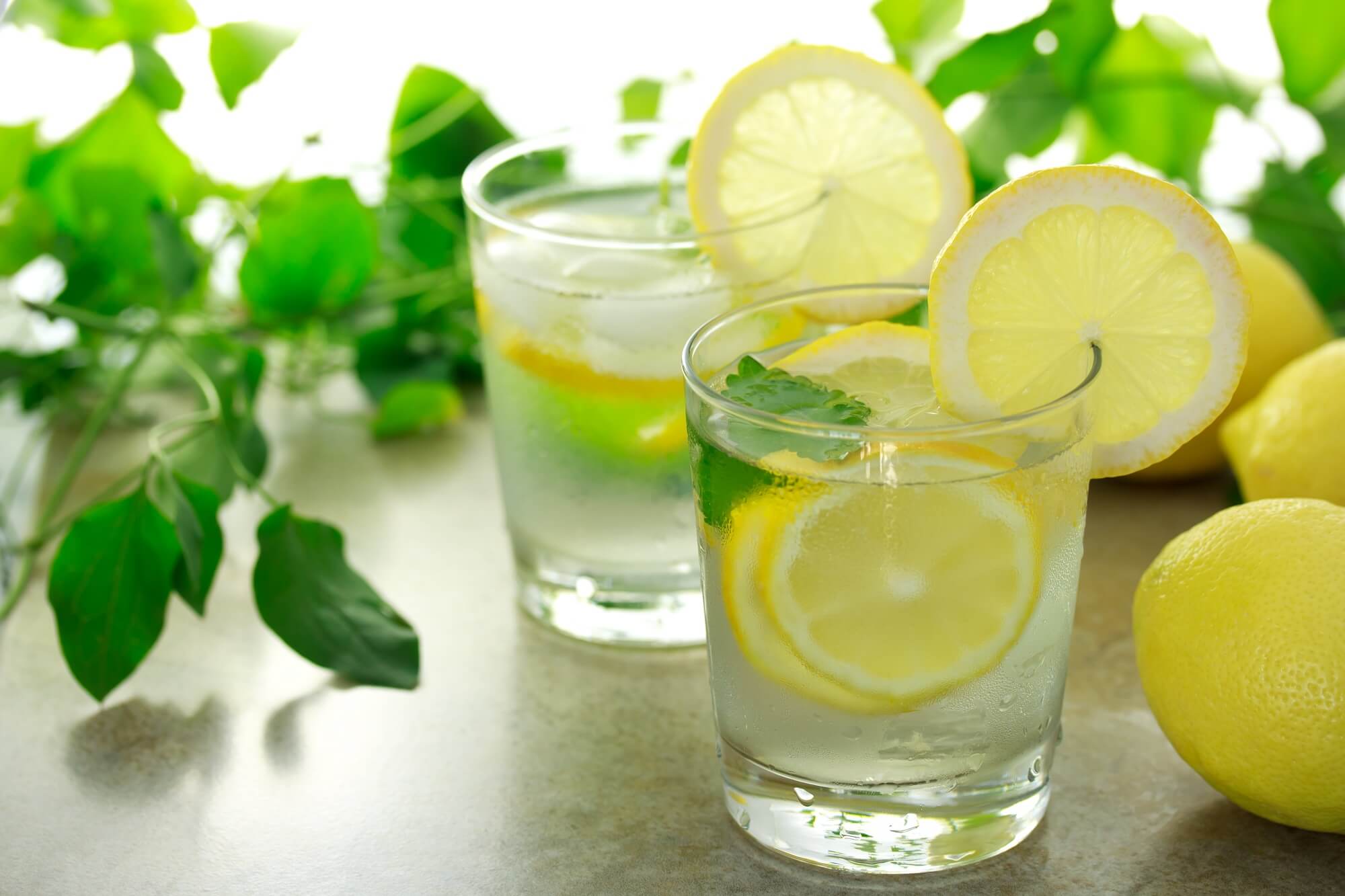Lemon water with sliced lemons and green herbs / leaves