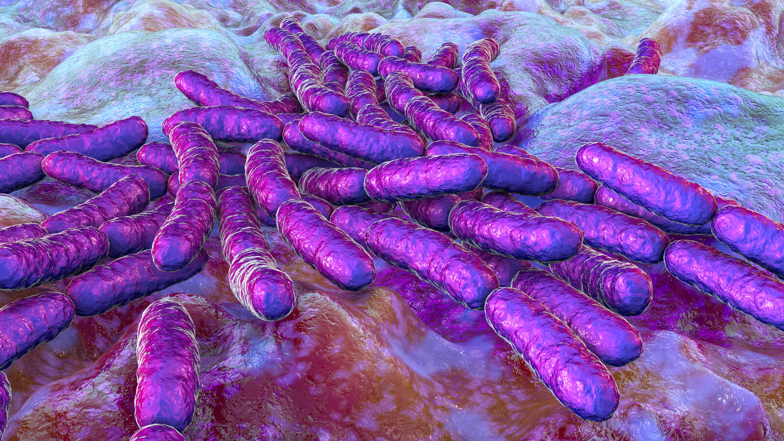 Illustration of probiotic bacteria Lactobacillus. Lactic acid bacterium.