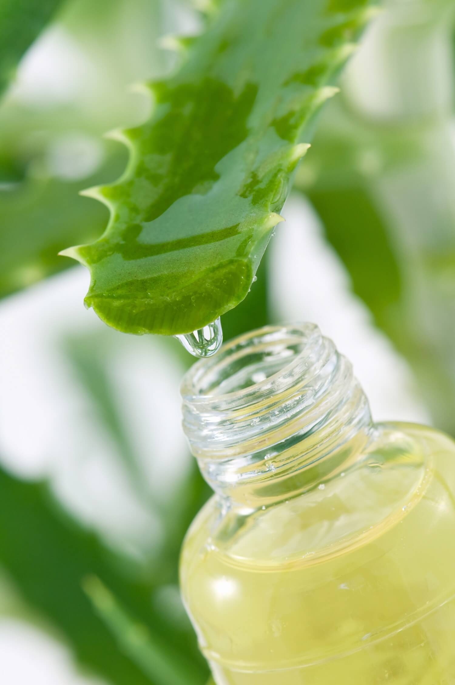 Aloe vera juice (latex) dripping into glass bottle.