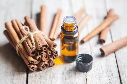 Cinnamon essential oil in a small bottle with a bunch of cinnamon sticks.