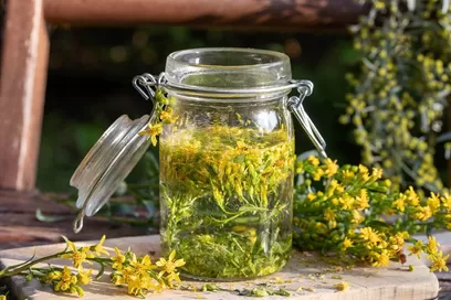 Preparation of tincture from European goldenrod flowers in a glass jar.