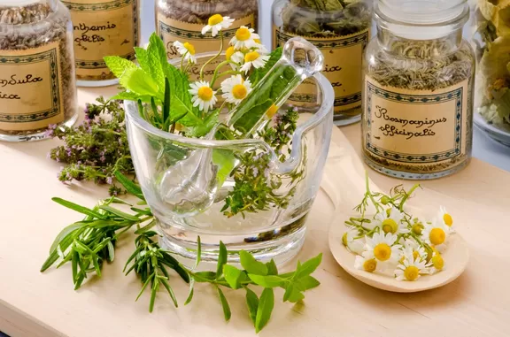 Medicinal herbs in glass bottles and in a glass mortar and pestle.