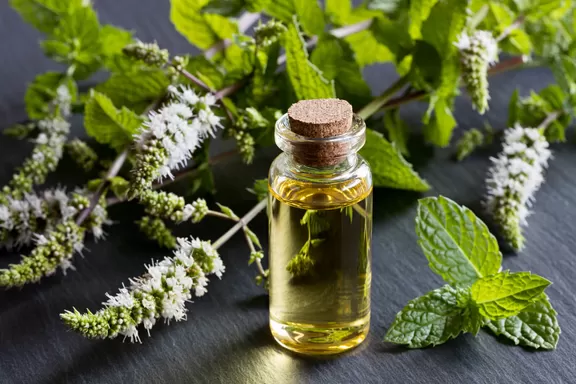 A bottle of peppermint essential oil with blooming peppermint twigs in the background.