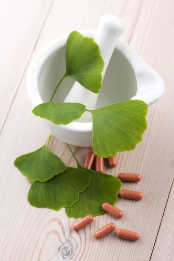 Ginkgo biloba leaves in mortar and pestle and pills