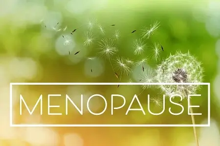 Picture of mature dandelion seeds flying away in the wind with the word menopause in a white box below.