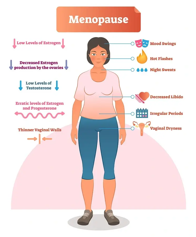 Diagram of Menopause Physiological Changes and Symptoms.